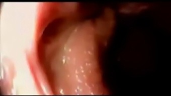 Cumming Inside A Vagina - Part Ii