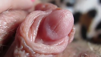 Intense Close-Up Of My Swollen Clit